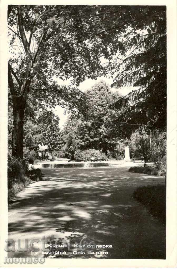 Παλιά καρτ ποστάλ - Παναγουρίστι, πάρκο του πάρκου