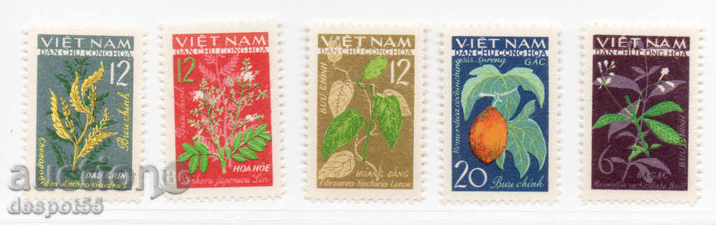 1963. Северен Виетнам. Медицински растения.