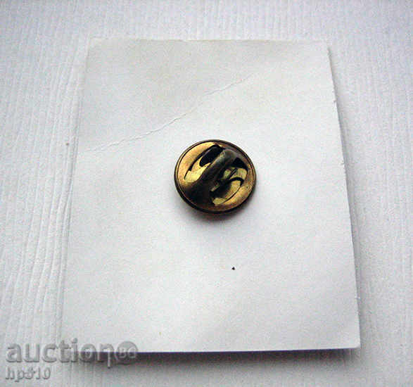 Delivery of Badge EXPO 93 matrix enameled Delivery of Badge EXPO 93 matrix enameled