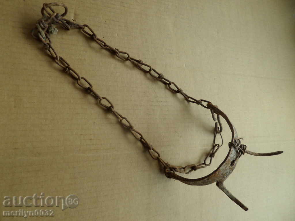 Старинно приспособление за теле малаче магаре бодлар Старинно приспособление за теле малаче магаре бодлар