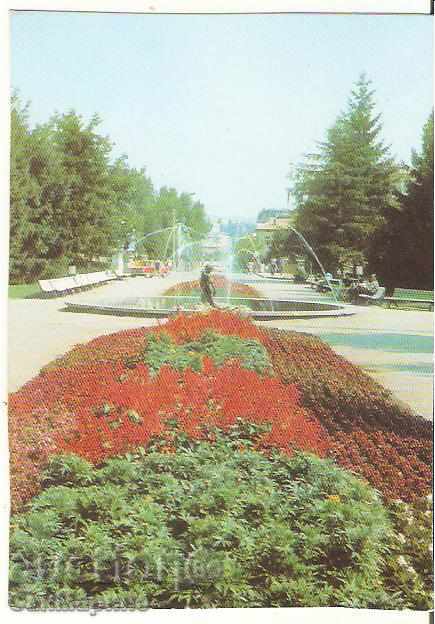 Картичка  България  Разград Градският парк*