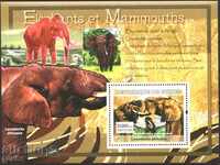 Καθαρίστε μπλοκ Πανίδα Ελέφαντες και Mamutti 2007 από τη Γουινέα