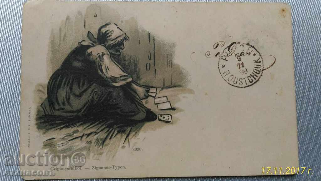 1899 carte poștală carte de sitter