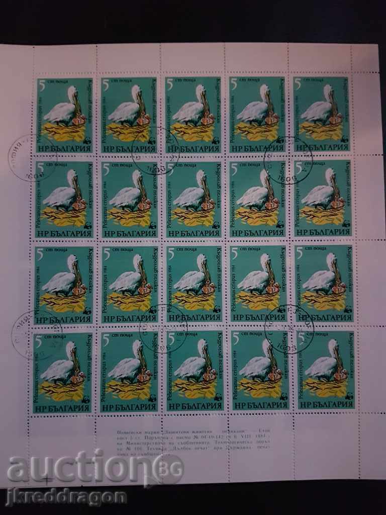 Bulgaria BK3345 / 8 WWF - Pelicans 1984 - Sheet Printing with price 25.00 BGN | € 12.78 Bulgaria BK3345 / 8 WWF - Pelicans 1984 - Sheet Printing with price 25.00 BGN | € 12.78
