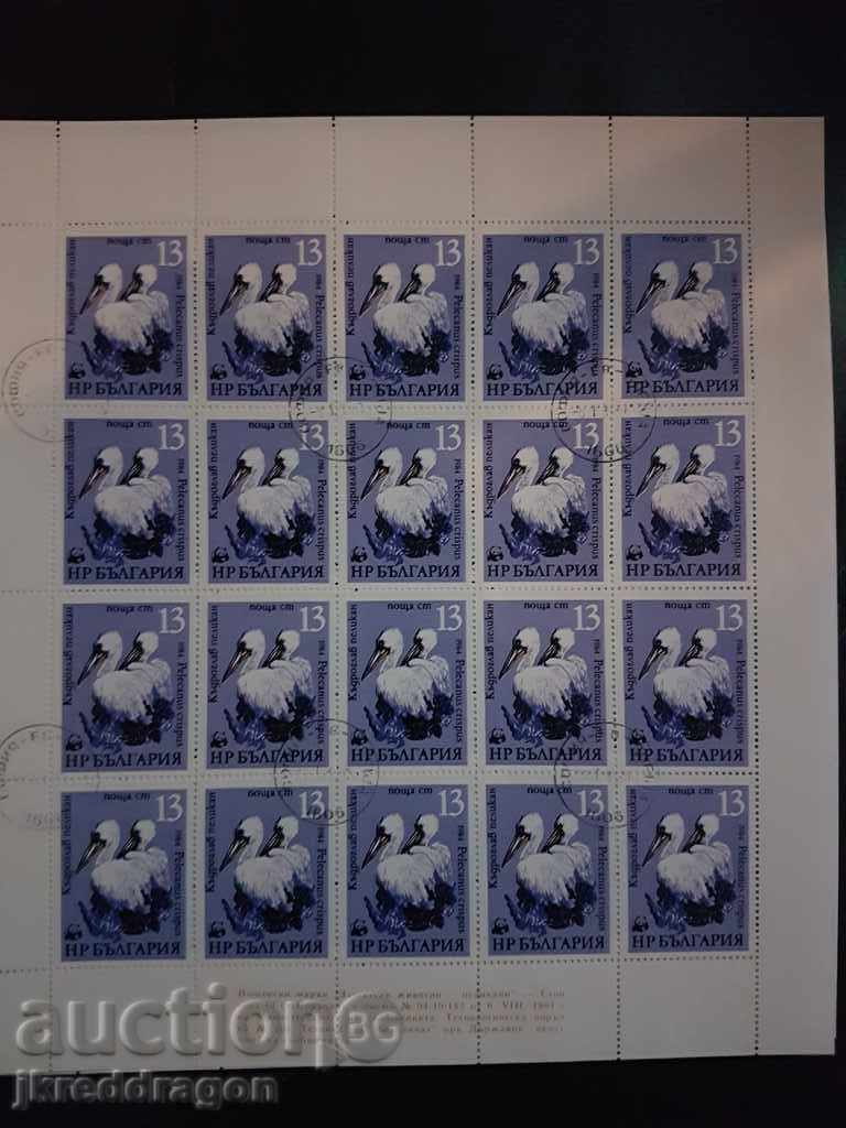 Auction Bulgaria BK3345 / 8 WWF - Pelicans 1984 - Sheet Printing Auction Bulgaria BK3345 / 8 WWF - Pelicans 1984 - Sheet Printing