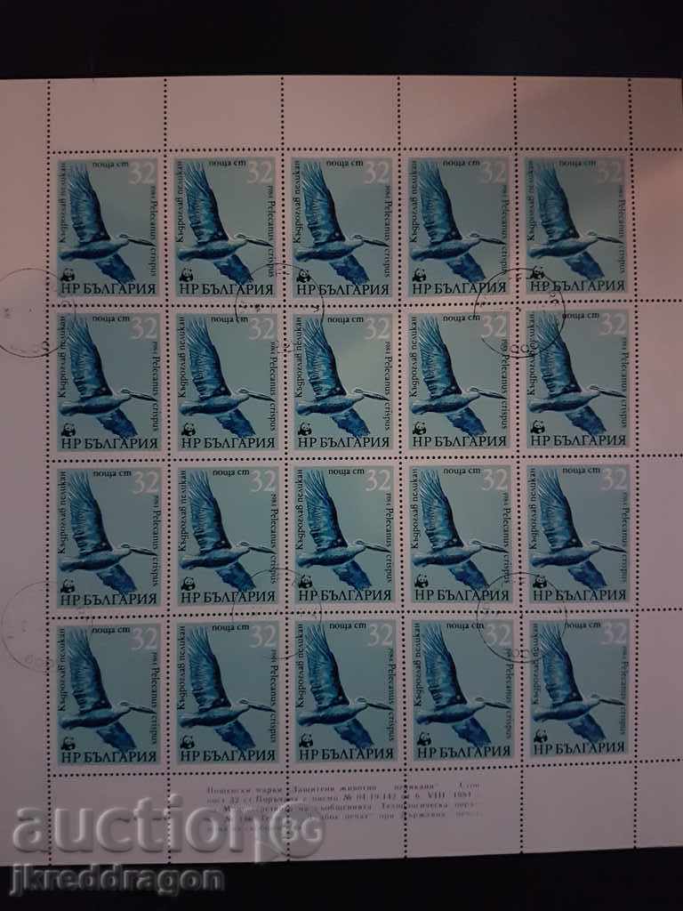 Delivery of Bulgaria BK3345 / 8 WWF - Pelicans 1984 - Sheet Printing Delivery of Bulgaria BK3345 / 8 WWF - Pelicans 1984 - Sheet Printing