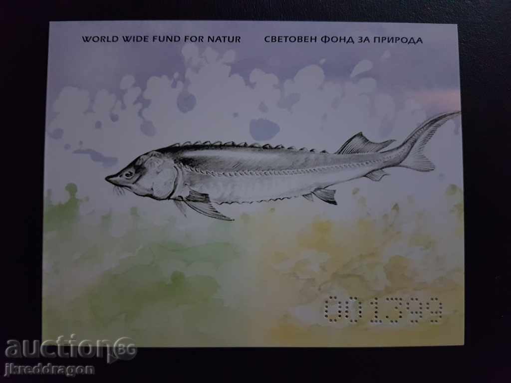 Βουλγαρία BK4667 / 70 WWF Ψάρια - φυλλάδια είναι 2 τύποι MNH
