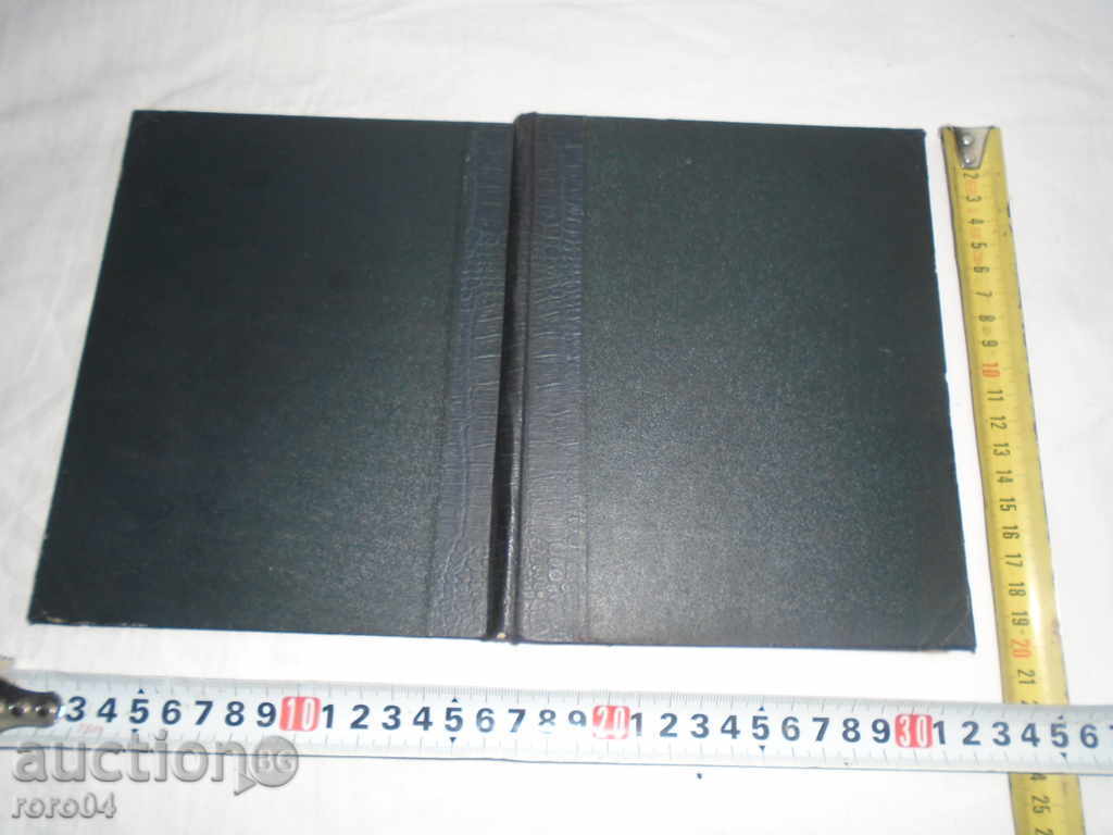 THE LOVE OF THE STUDENT - LEONID ANDREEV - 1909 - 5