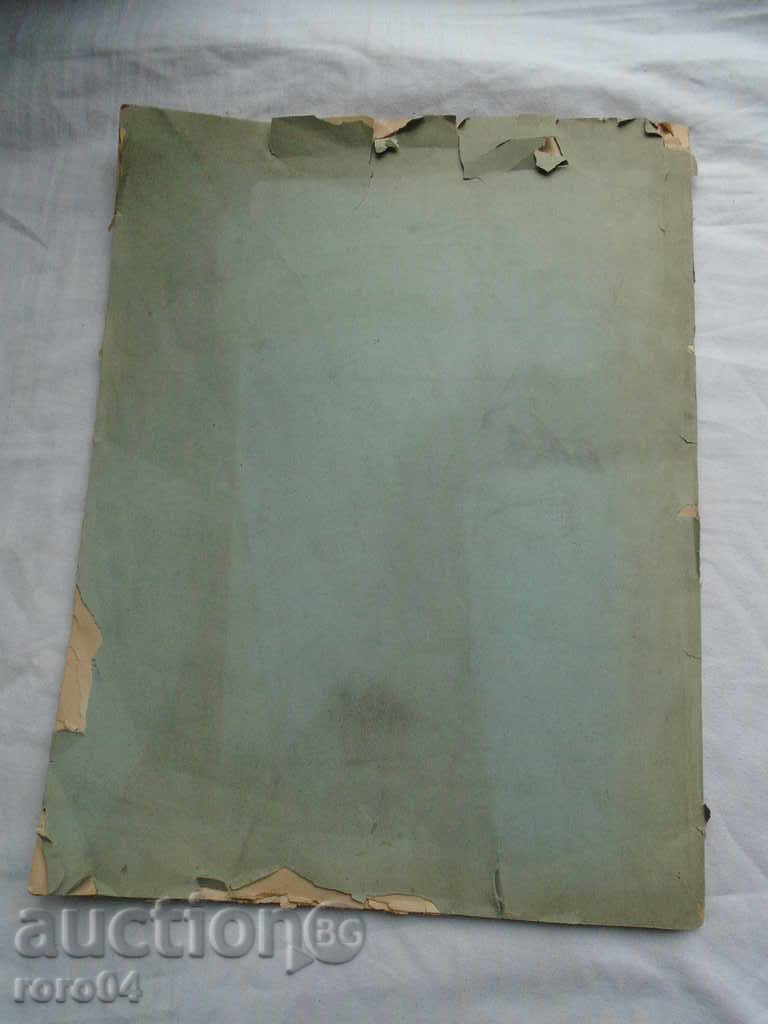 REPORT OF THE UNION OF BULGARIAN AGRICULTURAL COOPERATIVES - 7 REPORT OF THE UNION OF BULGARIAN AGRICULTURAL COOPERATIVES - 7