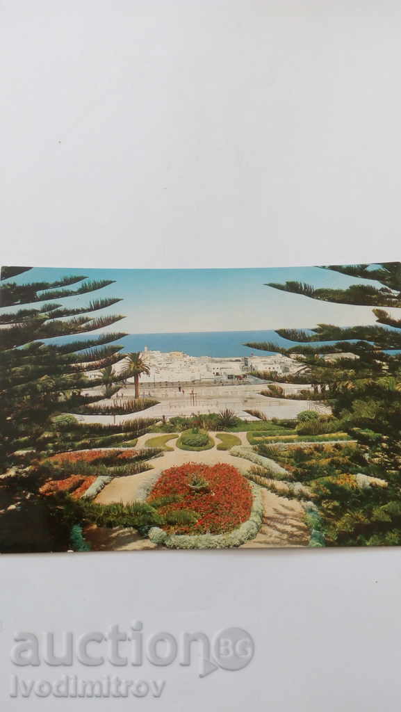 Καρτ ποστάλ Safi Πανοραμική θέα το 1982