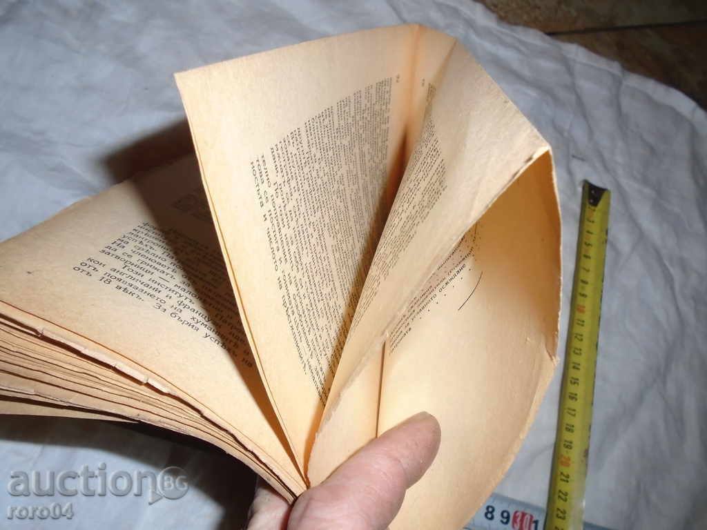 Auction A VIEW ON THE DEVELOPMENT OF THE PRISON CASE ... Auction A VIEW ON THE DEVELOPMENT OF THE PRISON CASE ...