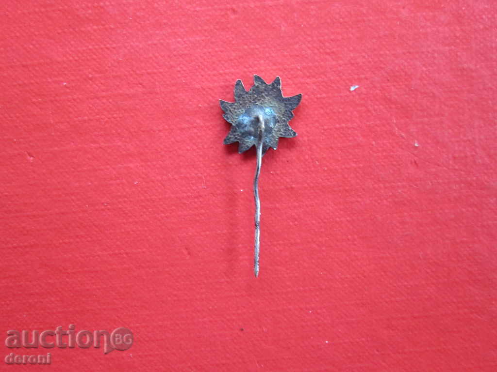 Παράδοση Τουριστικός σήμα σπάνιο σημάδι Αλέκο εντελβάις Παράδοση Τουριστικός σήμα σπάνιο σημάδι Αλέκο εντελβάις