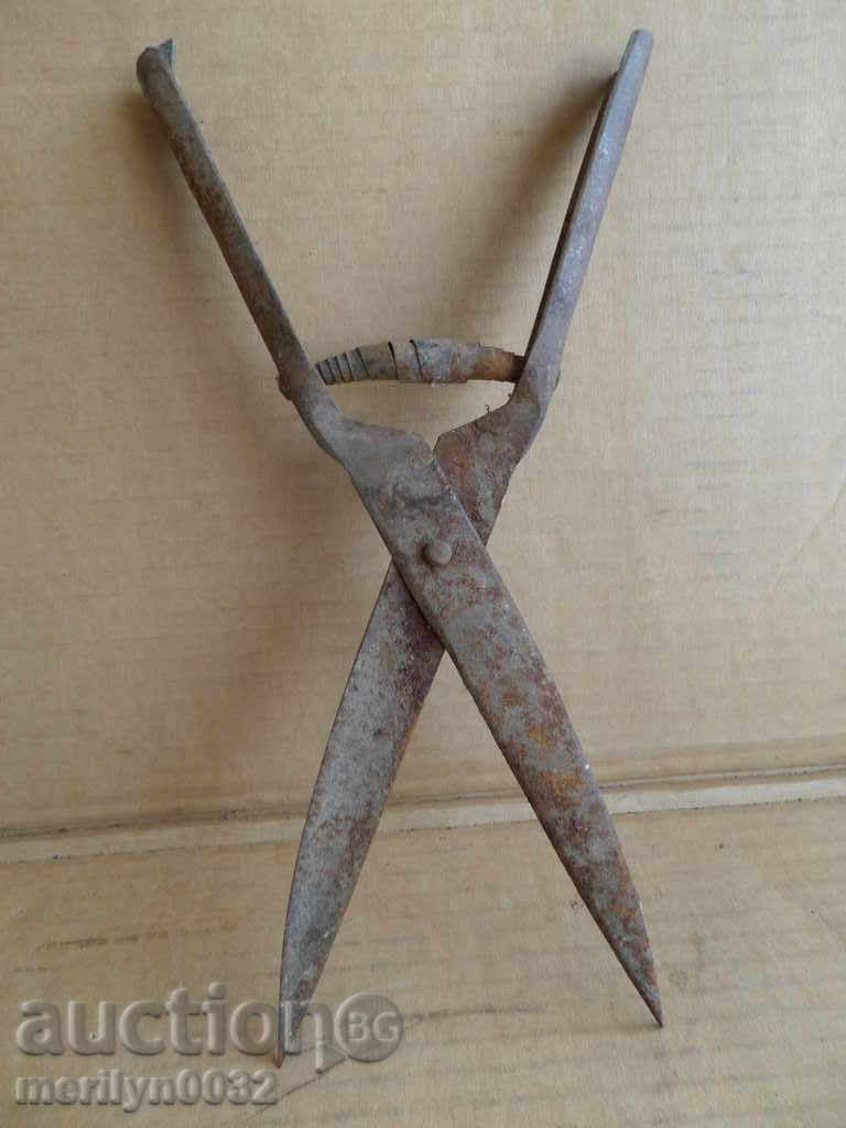 Auction Old garden forged scissors early 20th century Auction Old garden forged scissors early 20th century