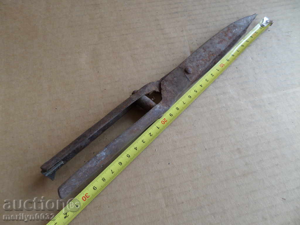 Delivery of Old garden forged scissors early 20th century Delivery of Old garden forged scissors early 20th century