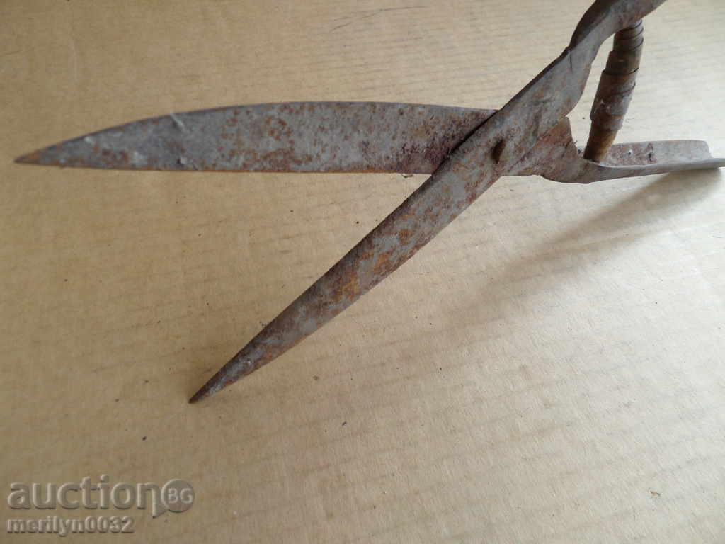 Old garden forged scissors early 20th century - 5 Old garden forged scissors early 20th century - 5