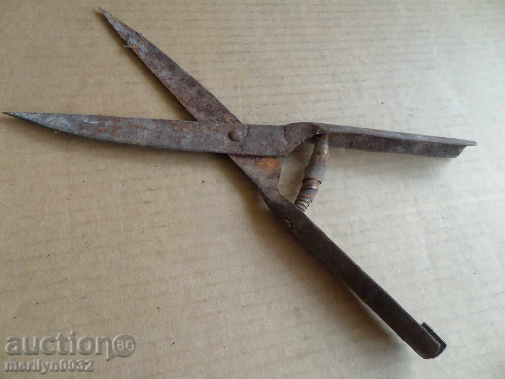 Old garden forged scissors early 20th century - 6 Old garden forged scissors early 20th century - 6