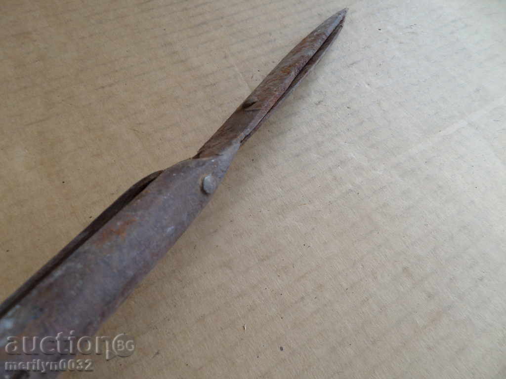 Old garden forged scissors early 20th century - 7 Old garden forged scissors early 20th century - 7