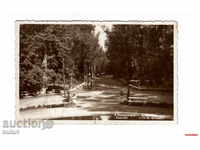 POST CARD PIC photo Pazardzhik Town 1937 PARK
