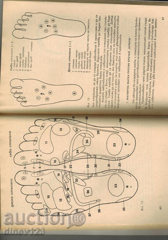 Auction THE MAGNITES FOR YOUR HEALTH - LOY DONE Auction THE MAGNITES FOR YOUR HEALTH - LOY DONE