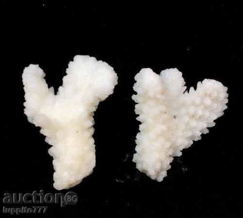 coral marine natural with price 45.00 BGN | € 23.01