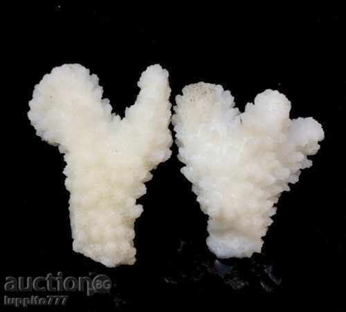 Delivery of coral marine natural