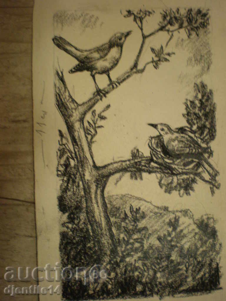 amprenta pasilor, pasari cu preț € 20.00 | 39.12 BGN amprenta pasilor, pasari cu preț € 20.00 | 39.12 BGN