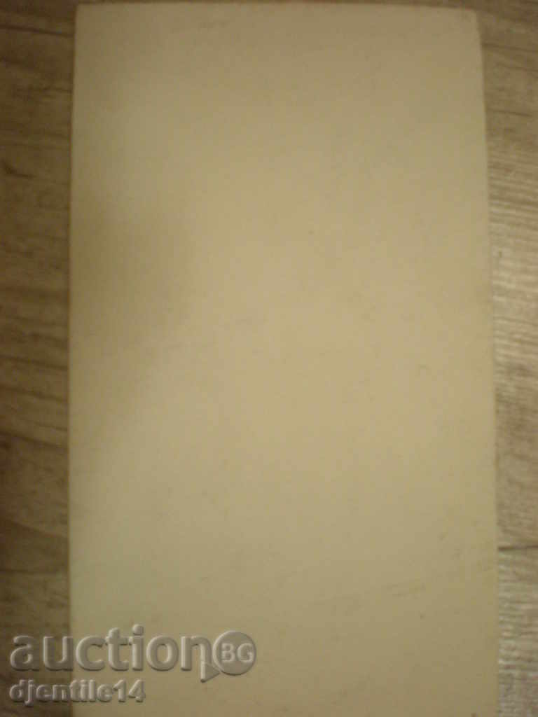 Auction  footprint, birds