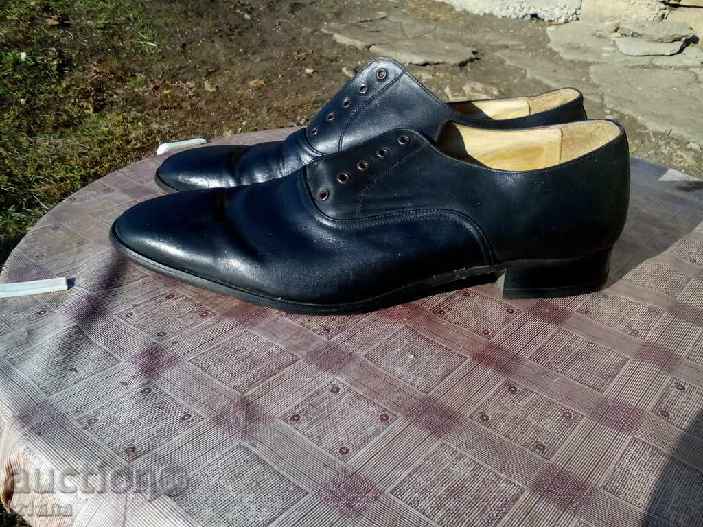 Delivery of Shoes PIRIN