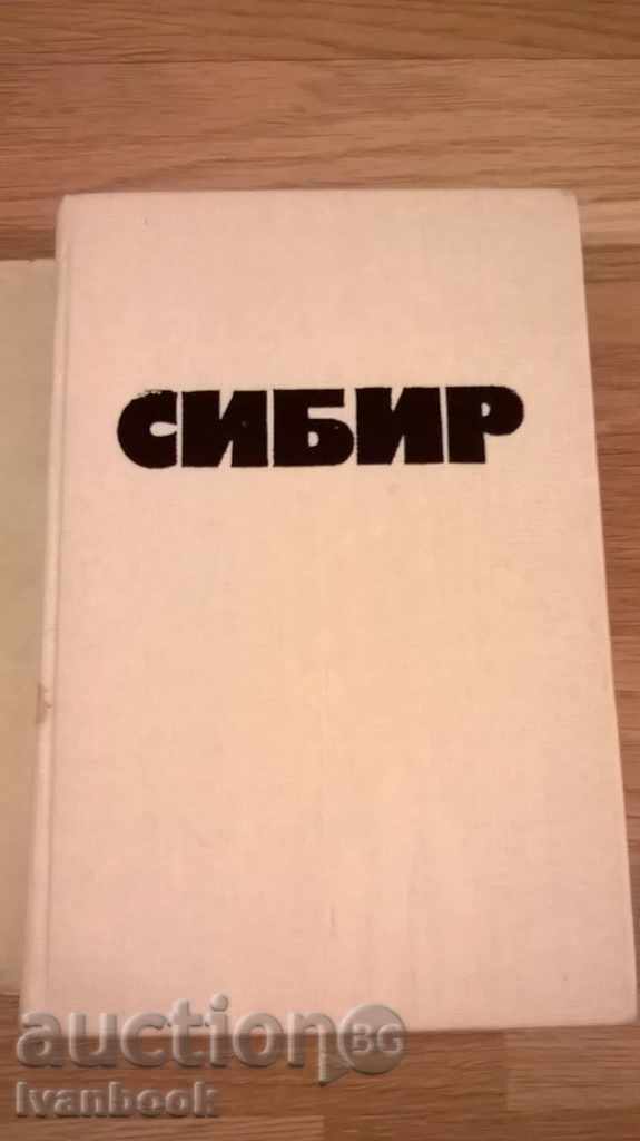 Auction  Siberia - Georgiy Markov