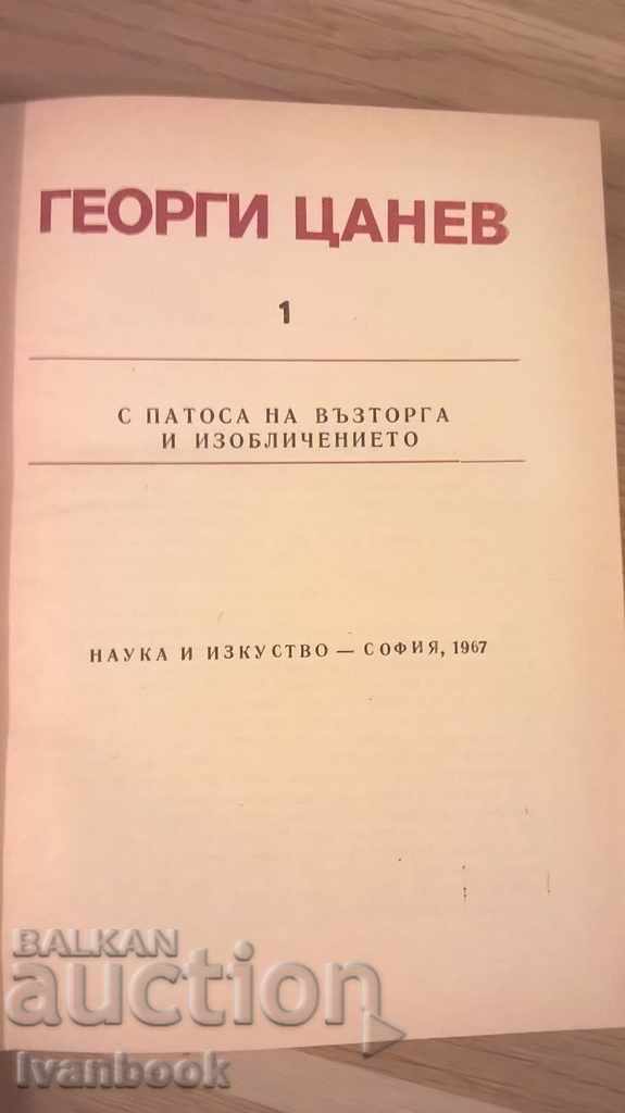 Δημοπρασία Με το πάθος του τον ενθουσιασμό και την πεποίθηση - Γιώργος Tsanev