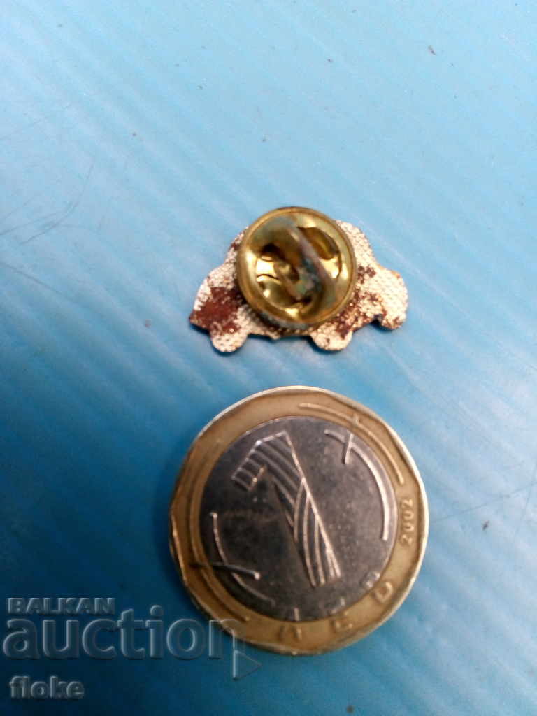 Licitație insignă wv