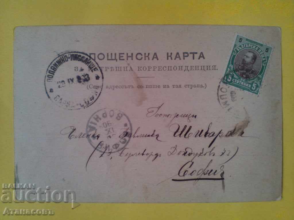 Shirt of Shumen 1903 Shivarov with price 59.99 BGN | € 30.67