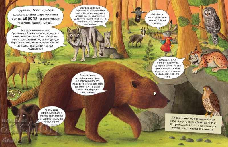 Auction Where's the bear? Auction Where's the bear?