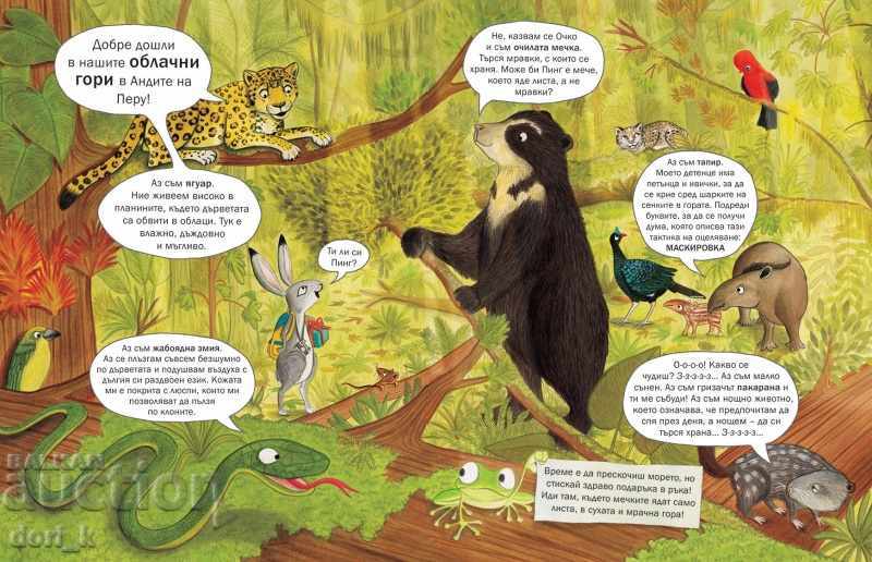 Delivery of Where's the bear? Delivery of Where's the bear?