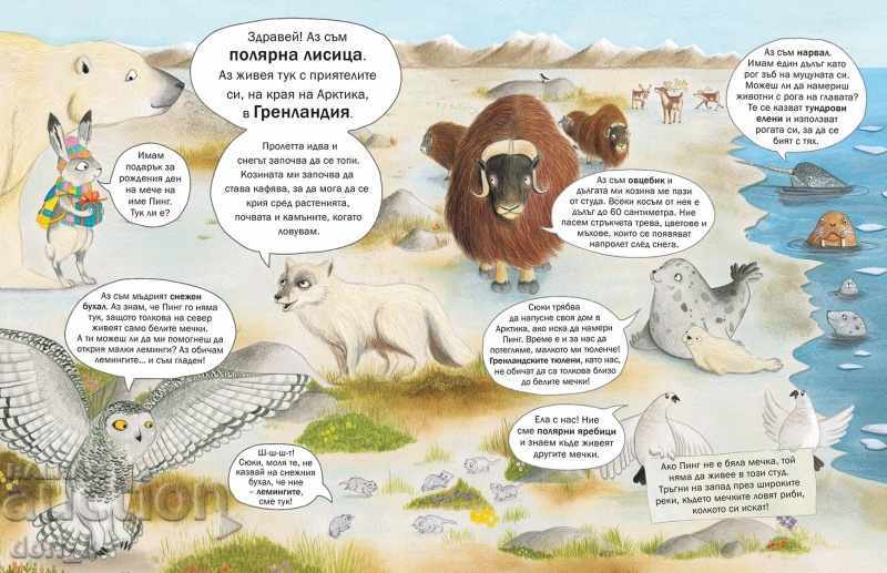 Where's the bear? - 5 Where's the bear? - 5