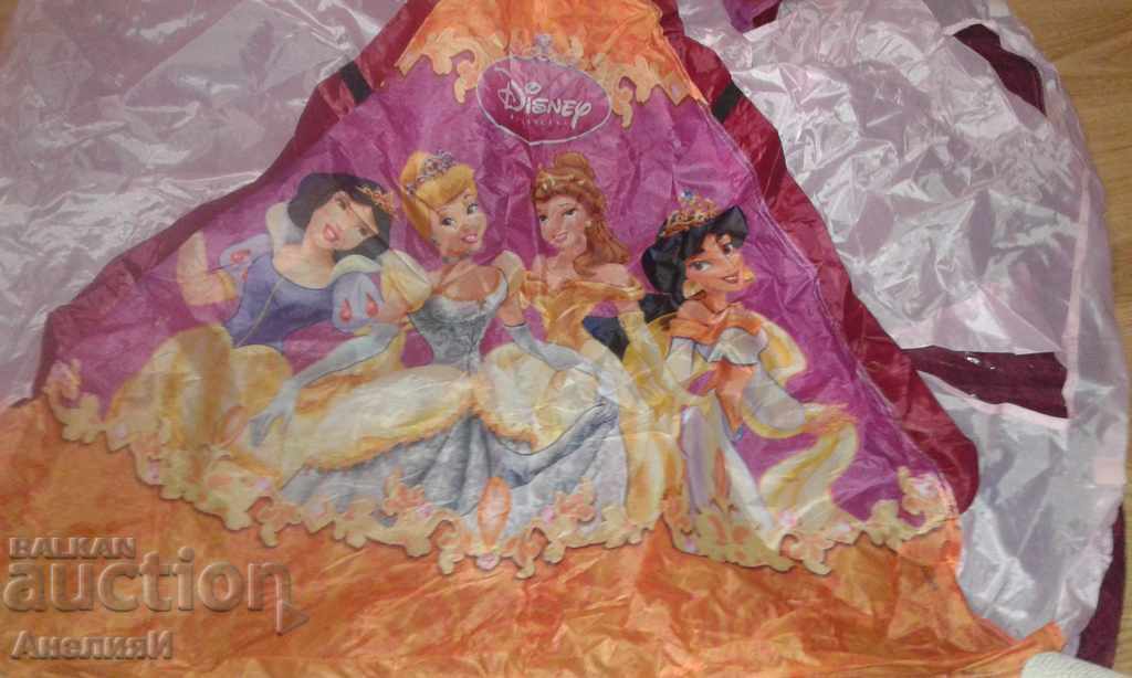 Disney cort