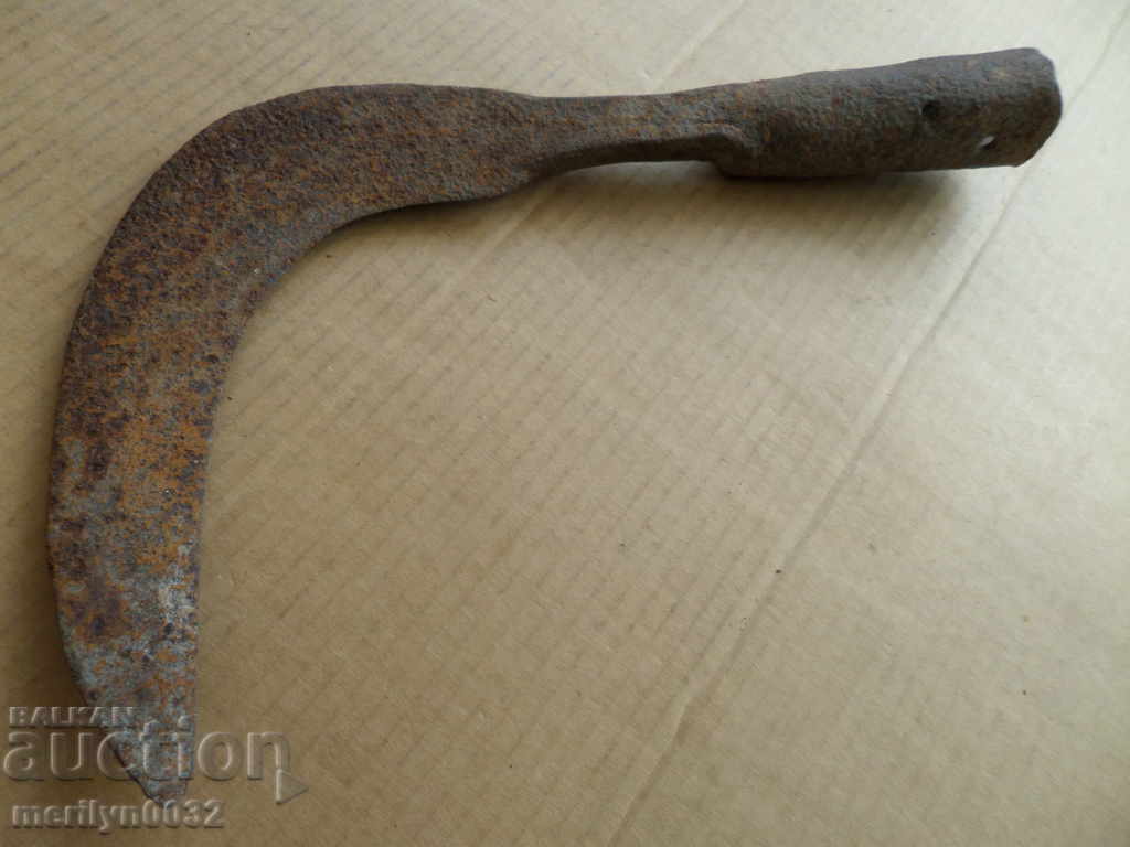 Wrought weapon for pulling horsemen Tarpan chopping branches with price 69.00 BGN | € 35.28 Wrought weapon for pulling horsemen Tarpan chopping branches with price 69.00 BGN | € 35.28