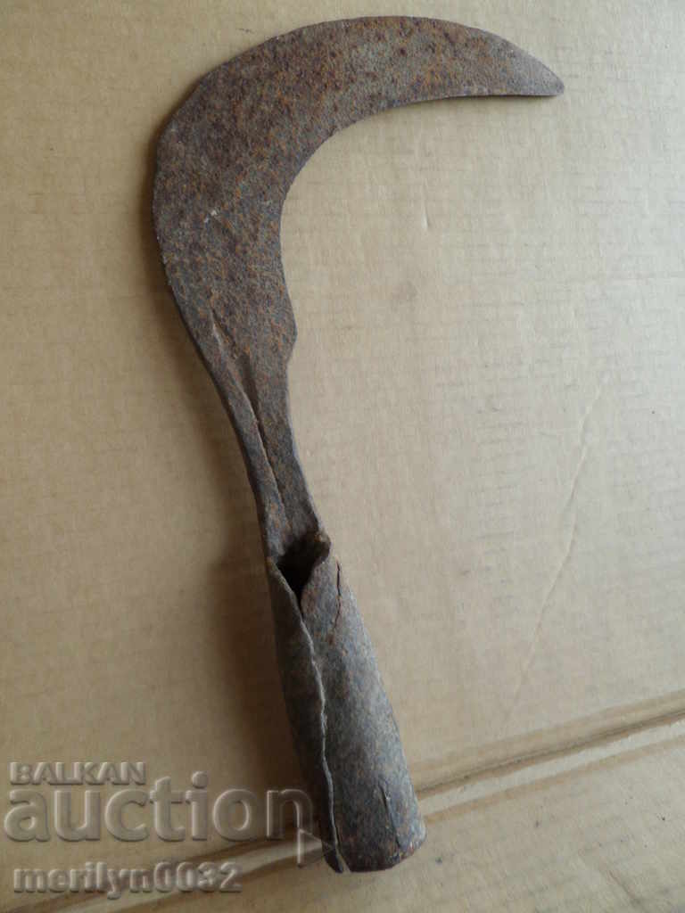 Wrought weapon for pulling horsemen Tarpan chopping branches - 5 Wrought weapon for pulling horsemen Tarpan chopping branches - 5