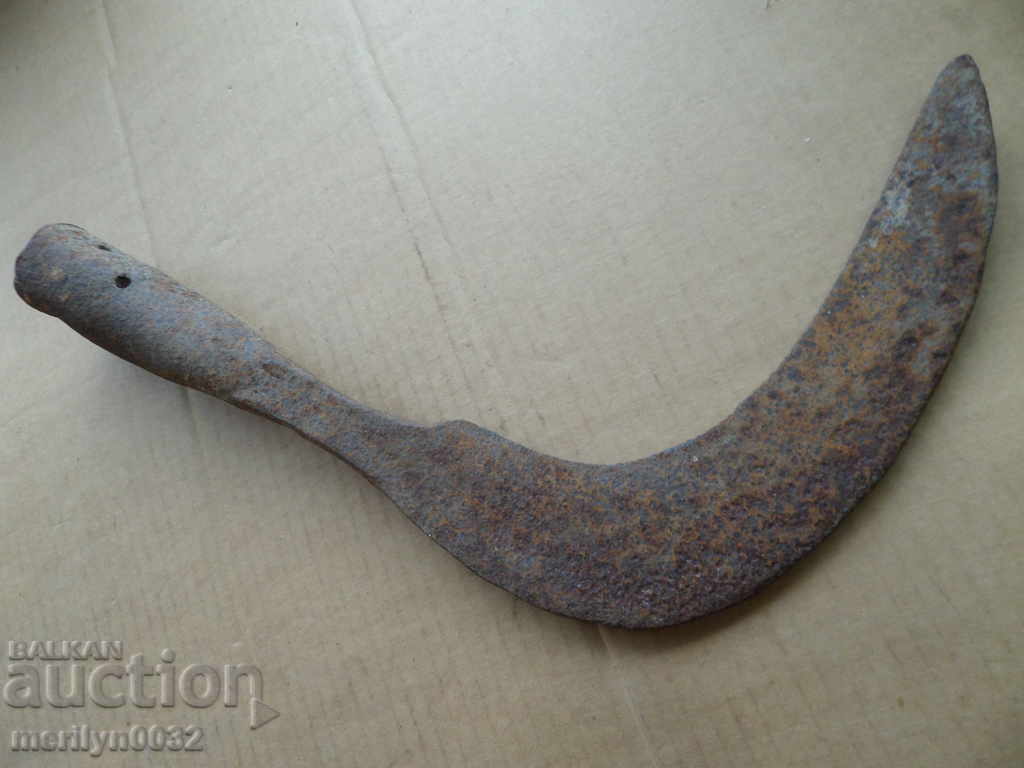 Wrought weapon for pulling horsemen Tarpan chopping branches - 7 Wrought weapon for pulling horsemen Tarpan chopping branches - 7