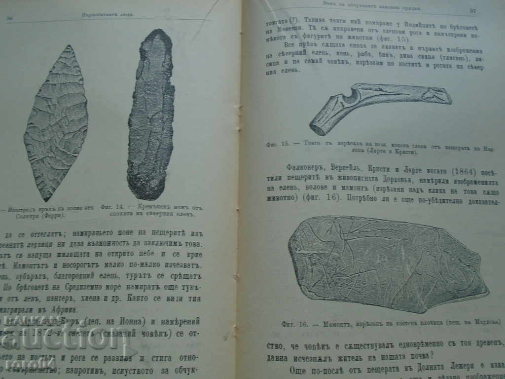 THE FIRST LEAVES / THE FIRST LOW IN BULGARIA - 1896 - 5 THE FIRST LEAVES / THE FIRST LOW IN BULGARIA - 1896 - 5