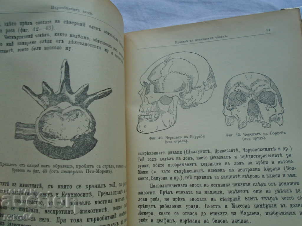 THE FIRST LEAVES / THE FIRST LOW IN BULGARIA - 1896 - 6 THE FIRST LEAVES / THE FIRST LOW IN BULGARIA - 1896 - 6