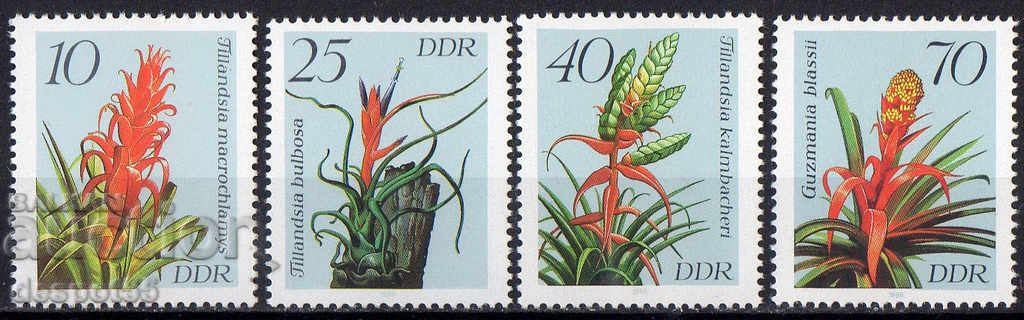 1988. GDR. Flowers.