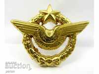 MILITARY INSIGNIA-PILOT INSIGNIA-FRENCH ARMY
