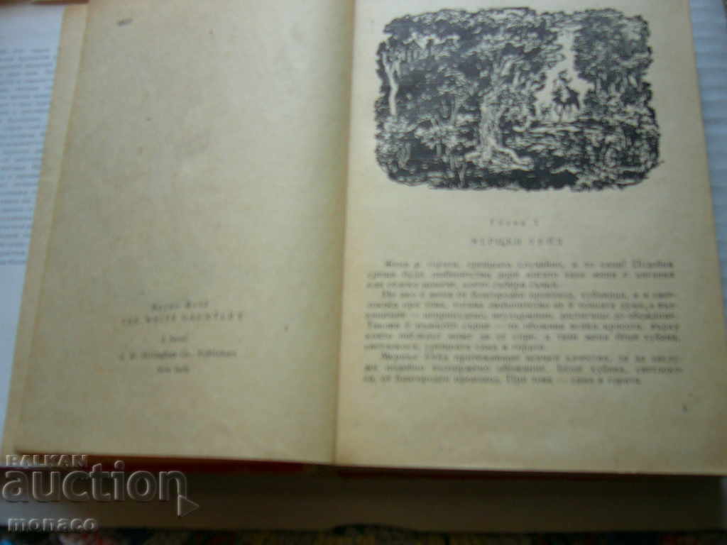 Delivery of Old book - Main Rid, White Glove