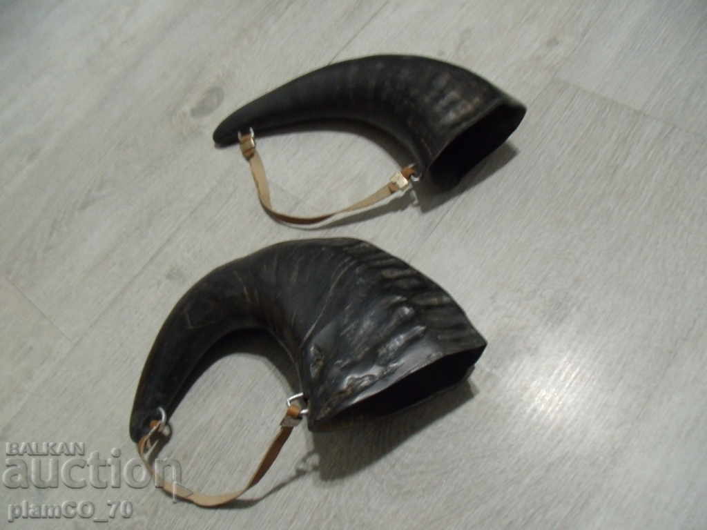 Auction No. 45 Two Old Horns Auction No. 45 Two Old Horns