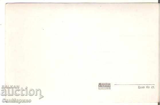 Map Bulgaria Balchik Palace 16 * with price 1.90 BGN | € 0.97