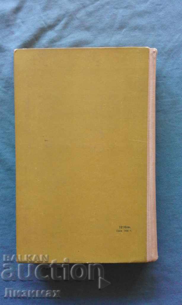 Δημοπρασία Σεργκέι Golubov - Πουλιά που πετούν από τα φρεάτια Δημοπρασία Σεργκέι Golubov - Πουλιά που πετούν από τα φρεάτια