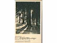 Nu utilizați carduri austriac de Crăciun 194 * 195 * - 5