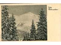 Nu utilizați carduri austriac de Crăciun 194 * 195 * - 7