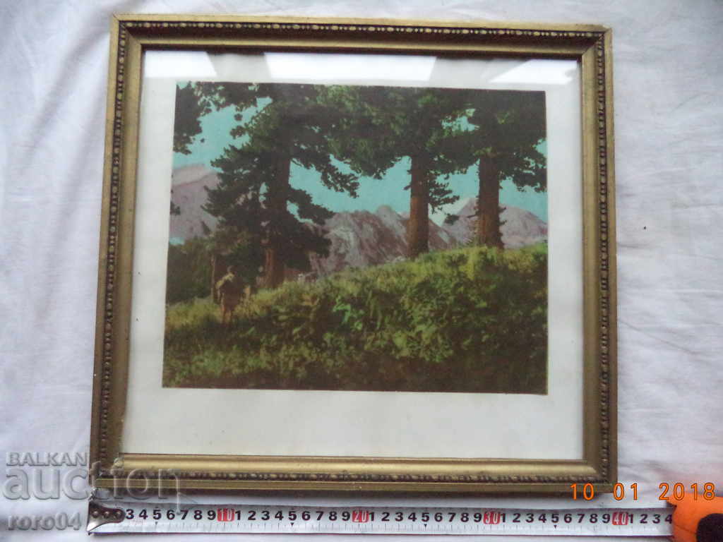 OLD PICTURE IN FRAMEWORK - 5